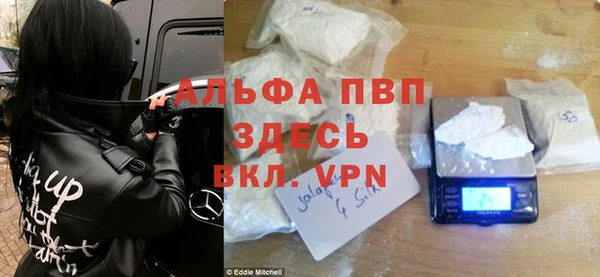 индика Арсеньев