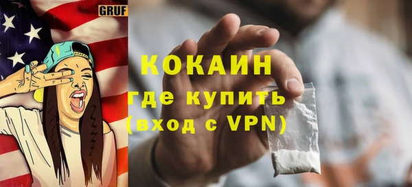 индика Армянск