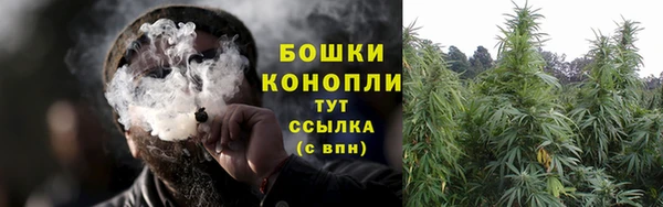 ешки Аркадак