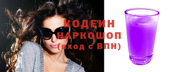 индика Арсеньев