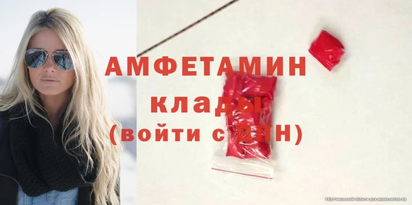 индика Арсеньев