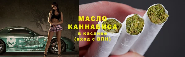индика Арсеньев