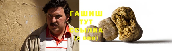 индика Арсеньев