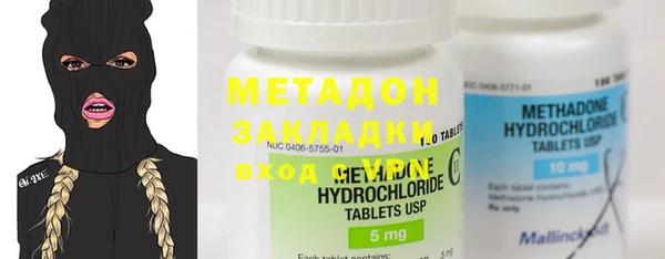 индика Арсеньев