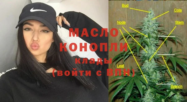 индика Армянск