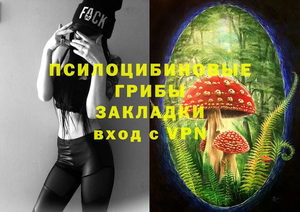 индика Арсеньев