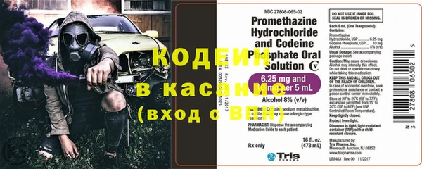 индика Арсеньев