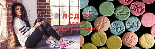 индика Арсеньев