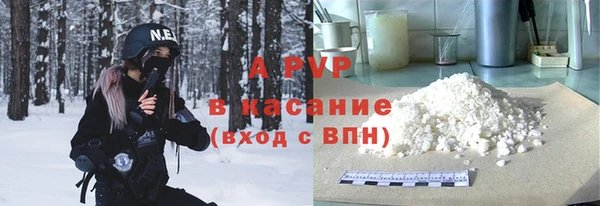индика Арсеньев