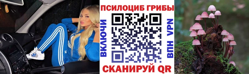 Галлюциногенные грибы MAGIC MUSHROOMS  Сретенск 